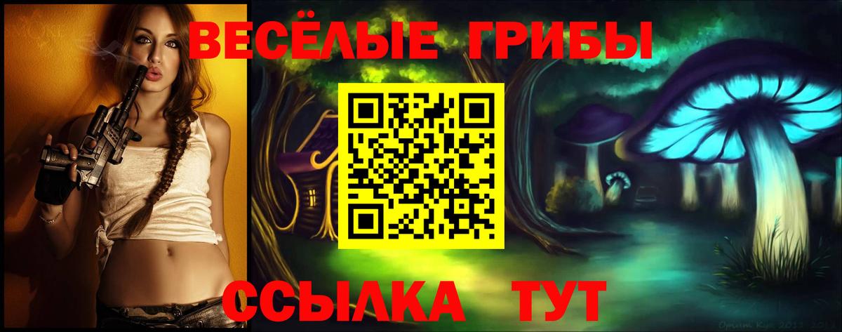 Галлюциногенные грибы Cubensis Усинск